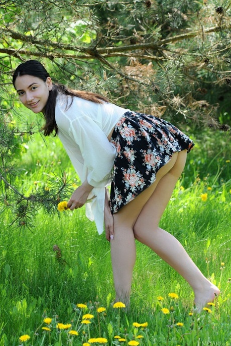 Meadow porn actress archive